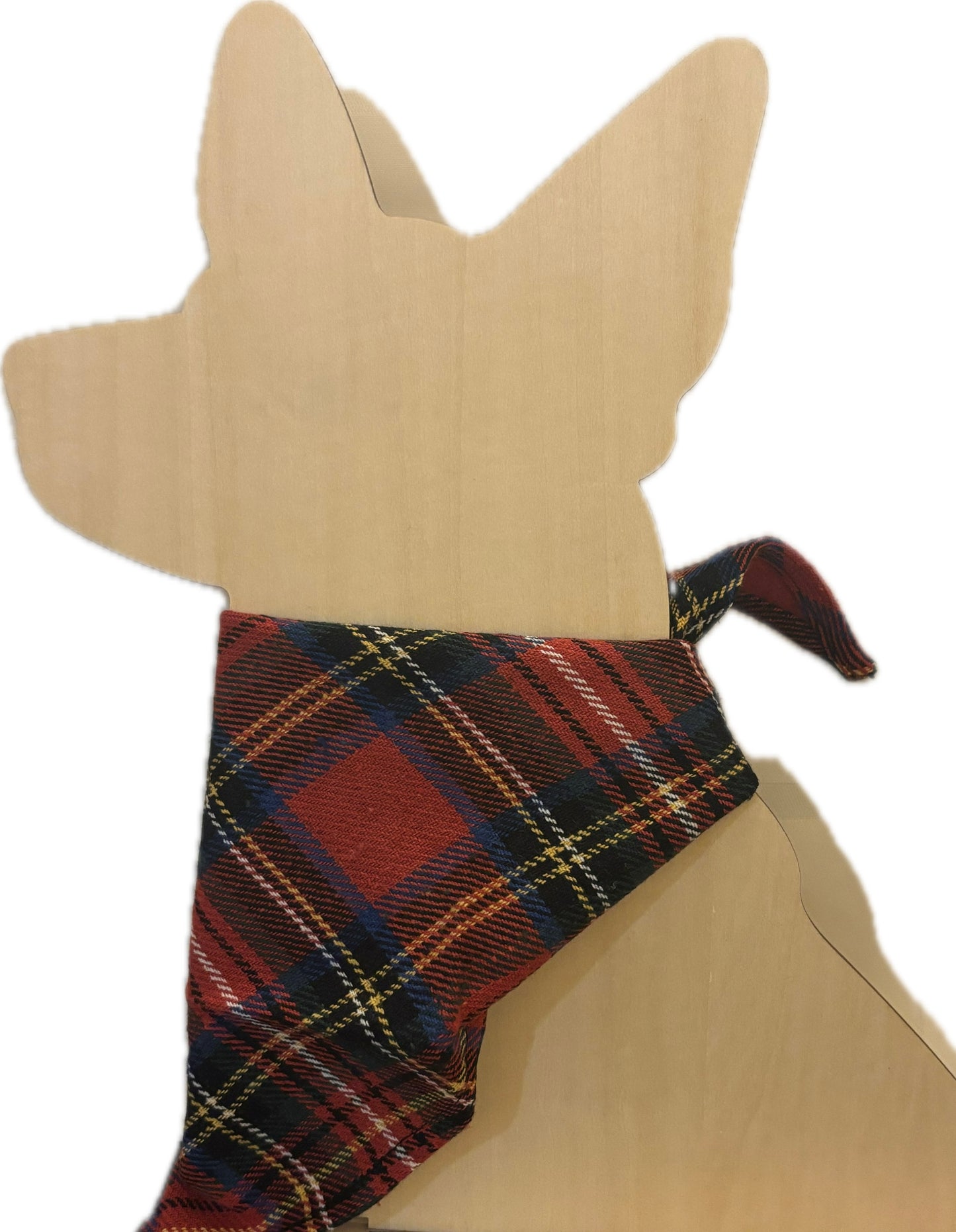 Furry Friend Scarves